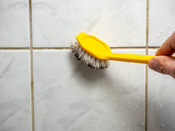 Mold Testing and Removal in Lakesite, TN