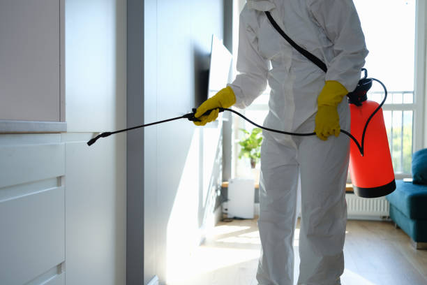 Best Fast Mold Removal  in Lakesite, TN